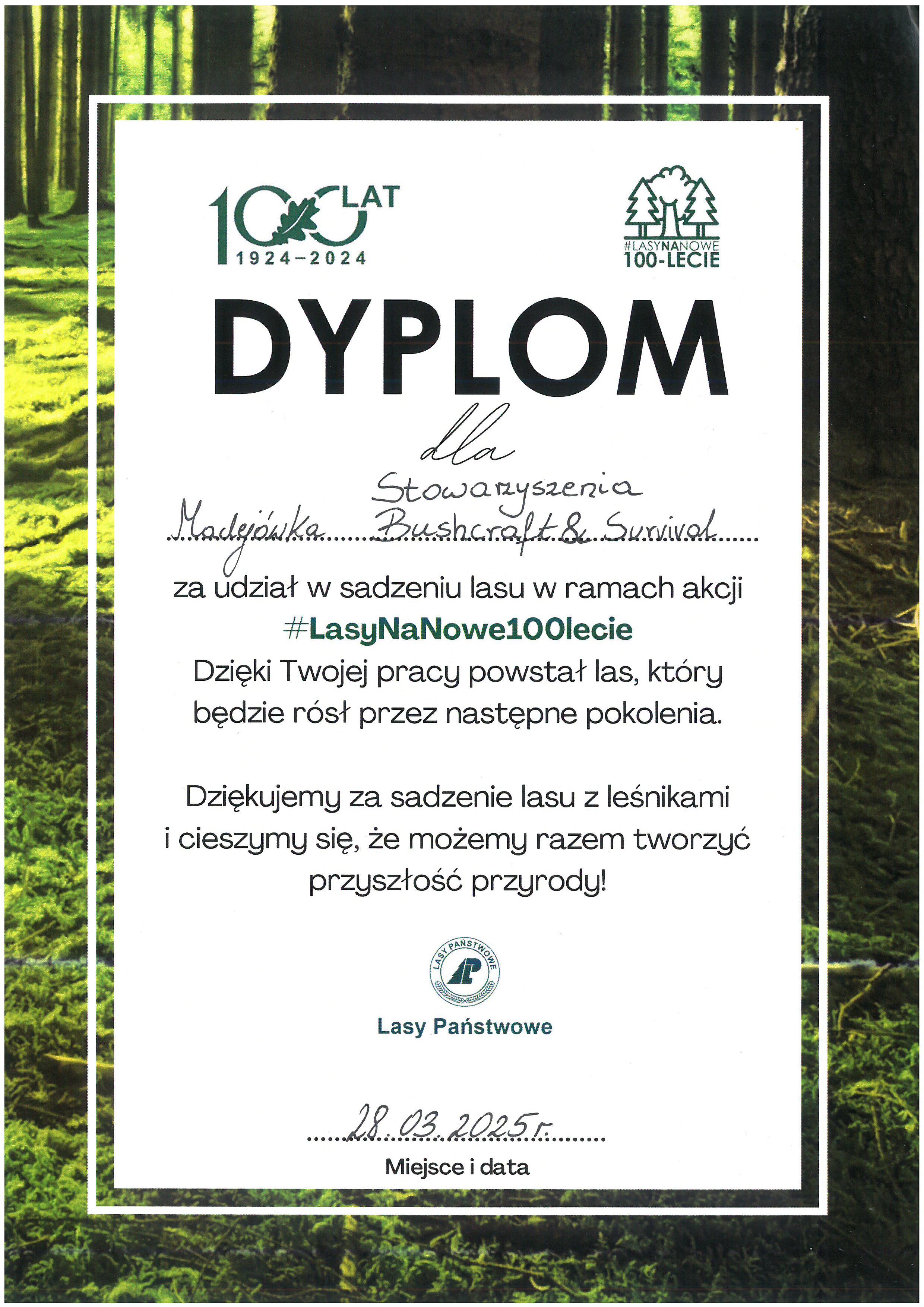 Dyplom LP